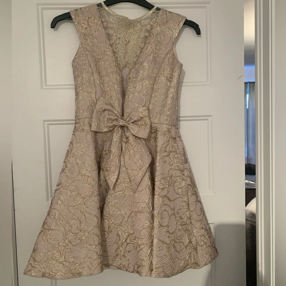 David Charles Dress - Picture 2 of 6